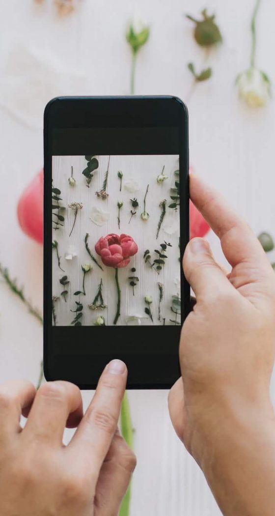 Blogging and making social media content. Hands holding phone and taking photo of flowers flat lay